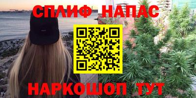 индика Кимры