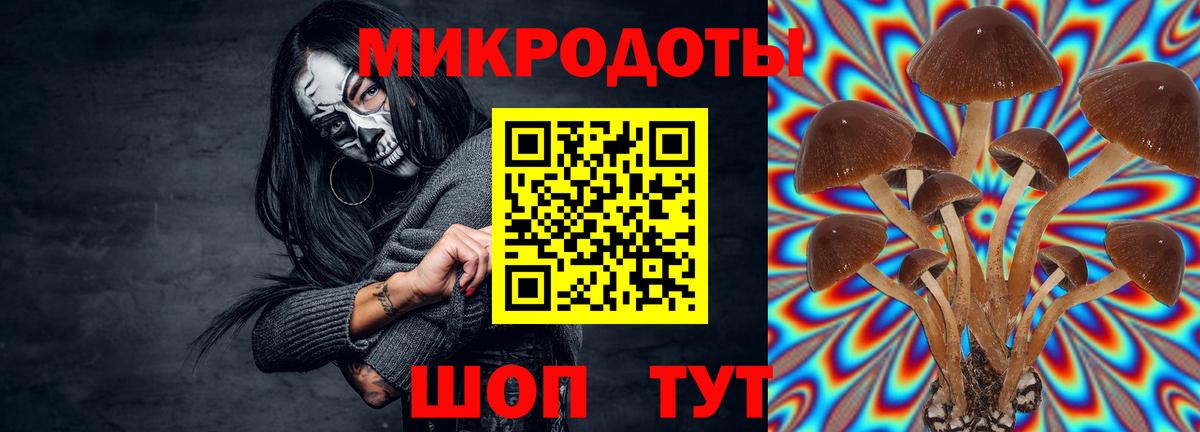 Краснокамск  Галлюциногенные грибы ЛСД  Вход с VPN 