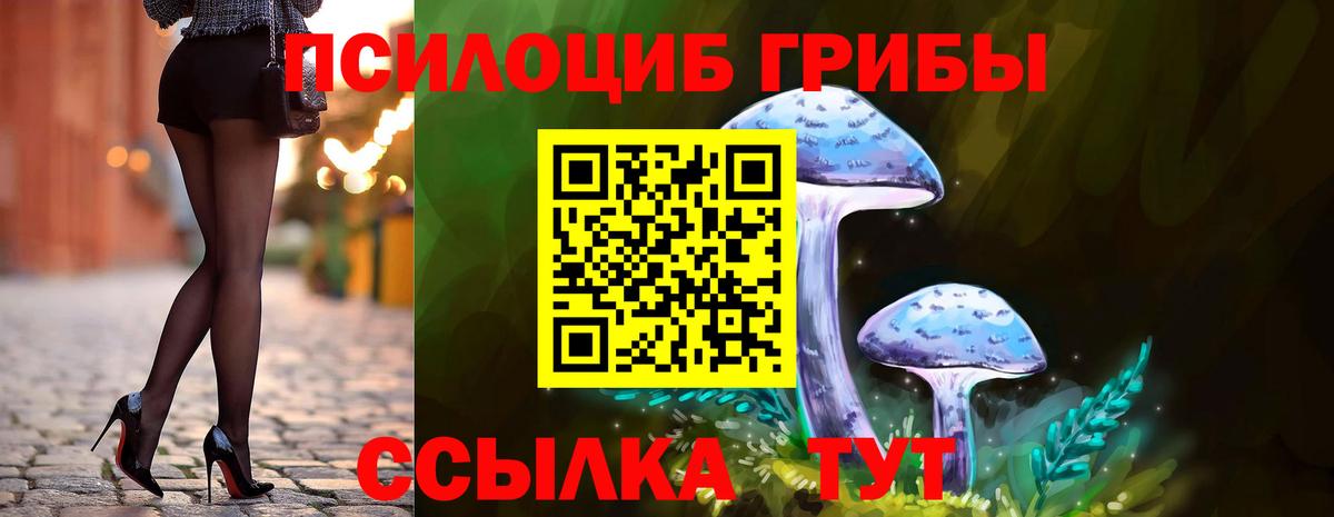 Псилоцибиновые грибы Psilocybe Краснокамск